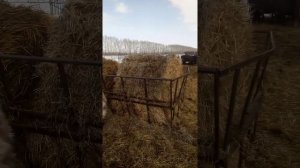 Уличная кормушка для крс простой способ