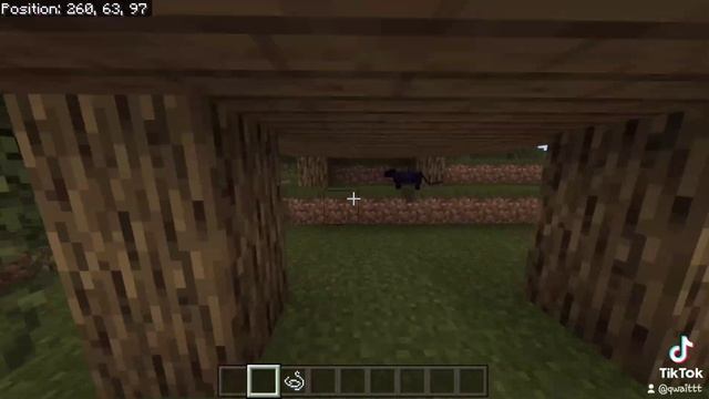 Black Cat Minecraft #Shorts #Mc #Minecraft смотреть онлайн