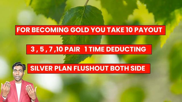 Swamini Life business plan #Swaminilife Plan #swaminee life смотреть онлайн