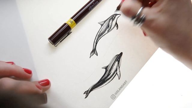 Изографы Rotring в работе. Рисую дельфинов. смотреть онлайн