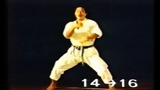Tekki Sandan (Kata & Bunkai)