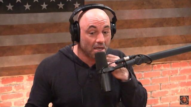 Joe Rogan Apologizes for Jack Dorsey Podcast смотреть онлайн