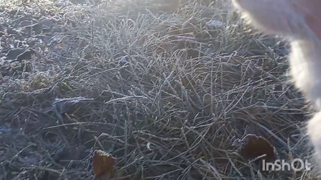 С добрым утромСтихи про осень.Good morning! Poems about autumn !!!?????? смотреть онлайн