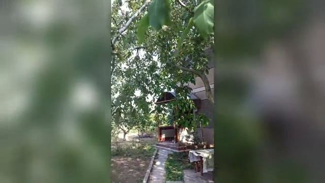 Продам дом 153м2 на участке 8,5 сот. в Царском Селе, Фиолент. Райская жизнь у моря уже сейчас! смотреть онлайн