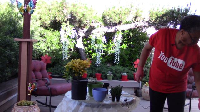 GARDEN KARAOKE CHALLENGE BY GRANDMA SANDY!🌿🌱🍀🍃 смотреть онлайн