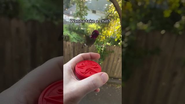 Hey Hector.mp4 смотреть онлайн