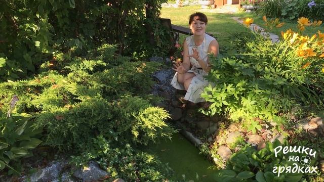 Ряска в нашем огороде | Можно ли мульчировать ряской смотреть онлайн