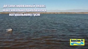 Чучела гусей Плавающие Softplast_ Казарка, Белолобый, Гуменник