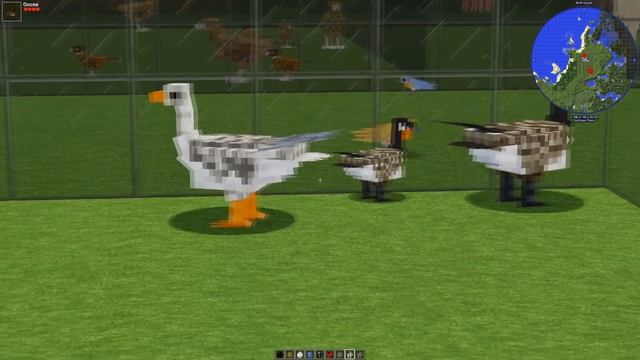 Better Animals Plus Mod Animal Showcase Minecraft 1.12.2 1.14.4 2k 60FPS Animals in Minecraft Ep47 смотреть онлайн