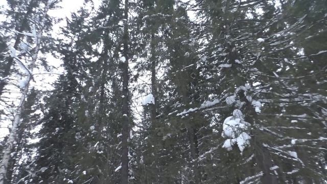 Мини-поход на устье реки Утбищная, вечер в лесу, костер смотреть онлайн