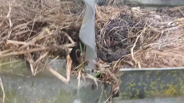 Компостер своими руками на даче из шифера смотреть онлайн