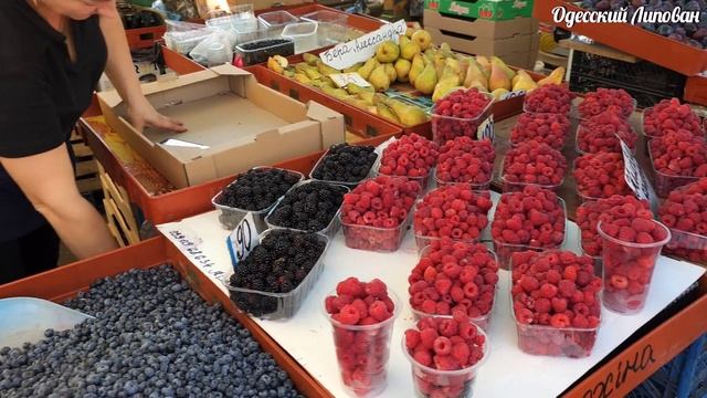 Самый Большой Арбуз на Базаре!! Одесса Рынок как Привоз. Чёрное Море 2023 цены смотреть онлайн