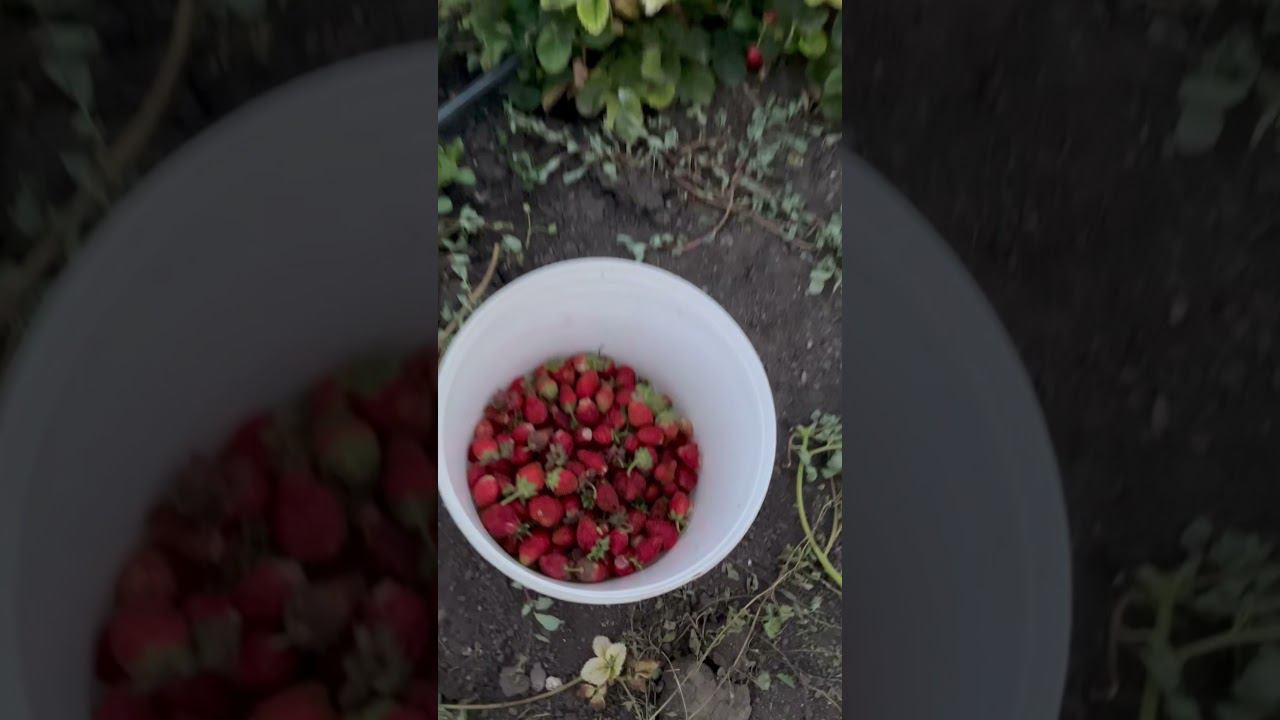 10 июля 2024 г.