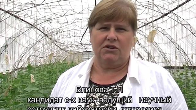 80 лет ГУ "Приднестровский НИИ сельского хозяйства" смотреть онлайн