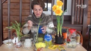 Как применять гидрогель  Выращивание растений в гидрогеле