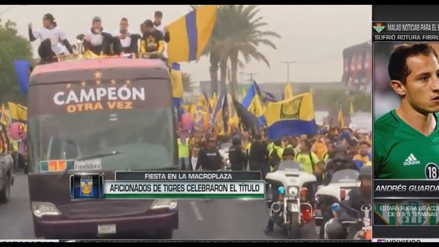 7 Cambios importantes que han ocurrido de la antigua FMF a la Liga MX смотреть онлайн