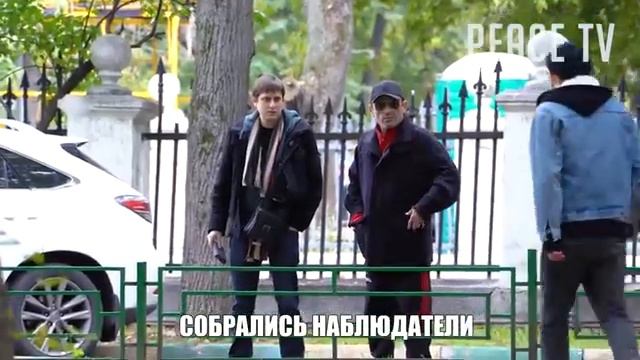 Избиваю СОБАКУ в общественном месте / Социальный эксперимент смотреть онлайн