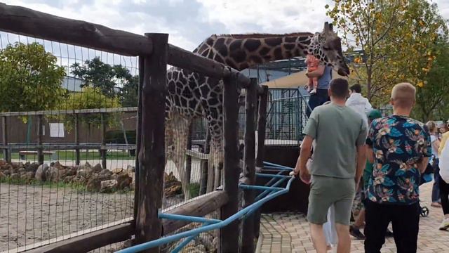 Одесский БИОПАРК 🦒🐒🦍🦧🦝🐅🐻🦁 смотреть онлайн