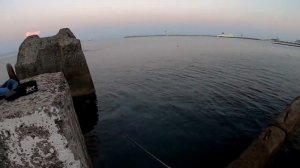 Красивый, ОЧЕНЬ красивый спиннинг  JS Company Bixod N AJ3 S622UL CST