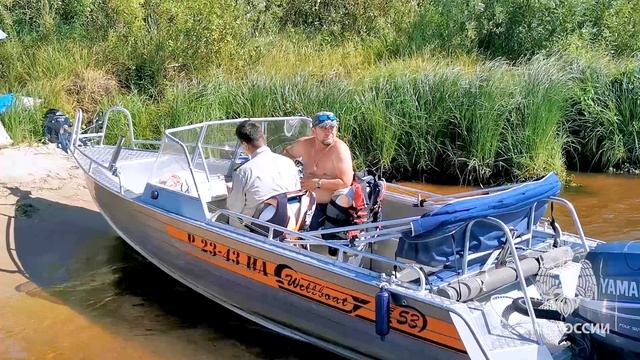 НАРУШИТЕЛИ НЕ ПРОЙДУТ!!! смотреть онлайн