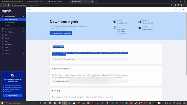 How to EASILY Host a 1.17 Minecraft Server! NO PORT FORWARDING! [2021] смотреть онлайн