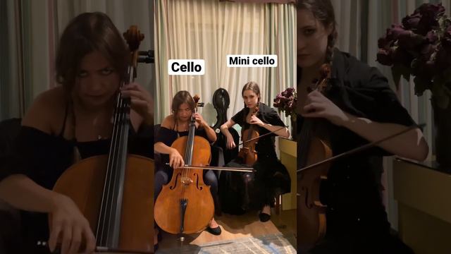 😳🔥PAINT IT BLACK (from WEDNESDAY) on the CELLO and MINI CELLO😂🎻 смотреть онлайн
