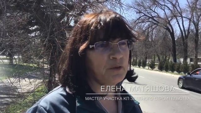 Побелка бордюров: красота или мартышкин труд?