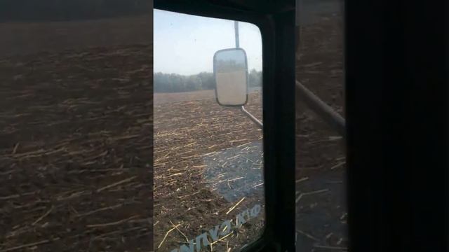Каткование посева МТЗ 892 смотреть онлайн
