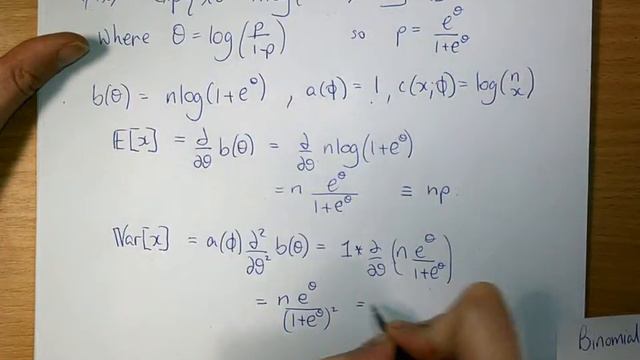 Binomial Distribution 2: Canonical Link function смотреть онлайн