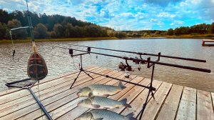 Поймать карпа на ФЛЭТ Карповая рыбалка на флэт по-простому