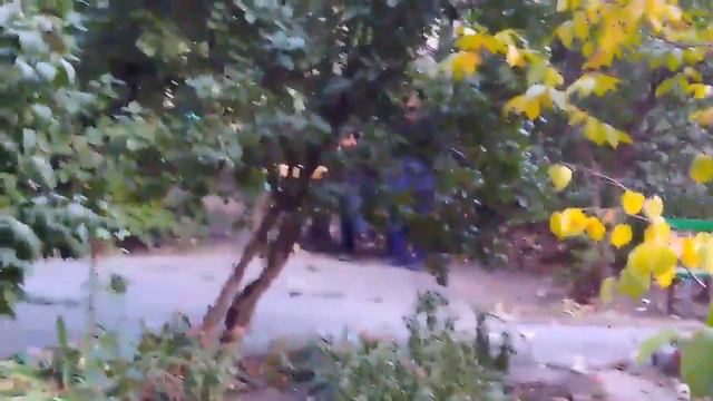 Увидел закладчика дай подсрачник смотреть онлайн