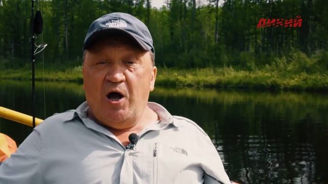 Анатолий Полотно и Федя Карманов - Эх, комарики смотреть онлайн