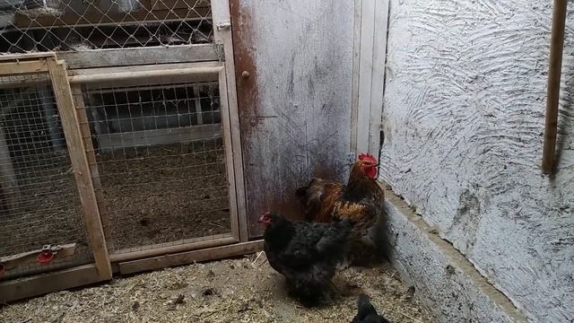 Руководство к Искусству