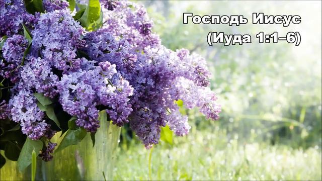 29.05.2015 Кто здесь главный? (Иуда 1:1–10) смотреть онлайн
