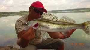 Простая ловля судака на живца-малька Летом в жару.