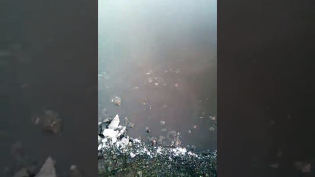 Берег реки села Питляр смотреть онлайн