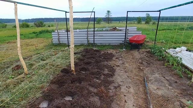 КАК ИЗБАВИТЬСЯ ОТ ПЫРЕЯ. 100% СПОСОБ смотреть онлайн