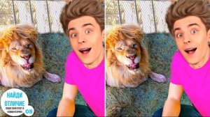 НАЙДИ 11 ОТЛИЧИЙ В ЗООПАРКЕ ОТ А4