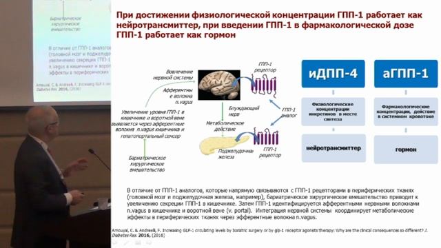 Аметов А.С., Сахарный диабет 2 типа: ранняя комбинированная терапия. смотреть онлайн