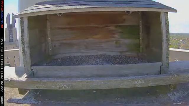 Camera 5 - 04/28/17 смотреть онлайн