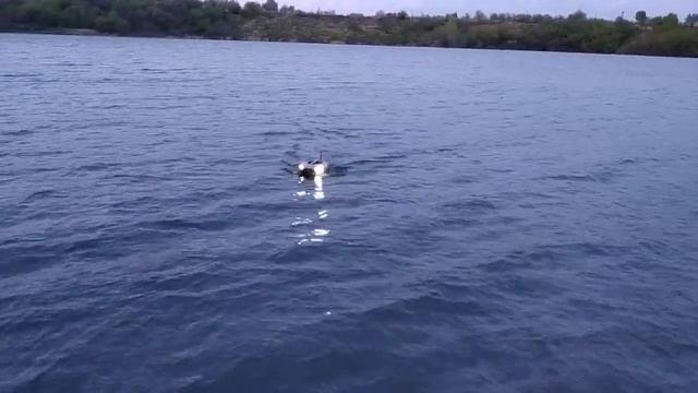 Английский корабль на воде. Корабль продаётся . смотреть онлайн