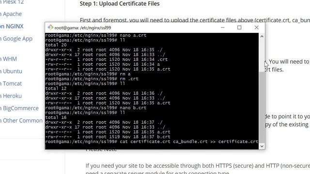 2/2: Installing SSL certificates from ZeroSSL on Nginx. смотреть онлайн
