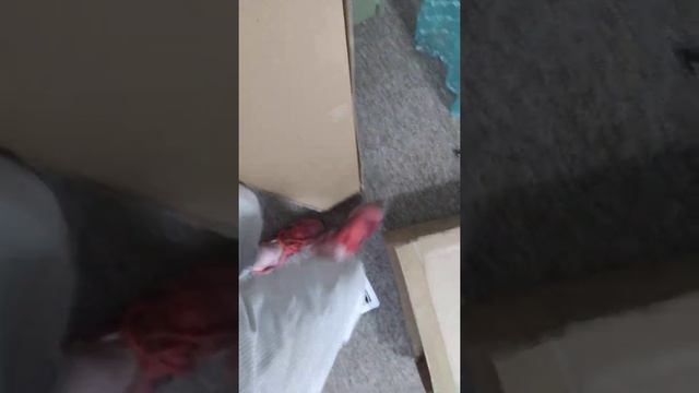 Sweetwater.com shipment Bass guitar unboxing! смотреть онлайн
