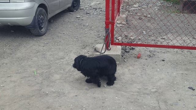 24 апрел Fargona Shahar BESHBOLA IT BOZORI Yangi Narxlari
