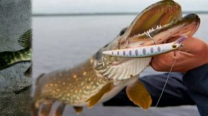 ТОП 5 ВОБЛЕРОВ НА ЩУКУ. 5 ЛУЧШИХ ВОБЛЕРОВ НА ЩУКУ