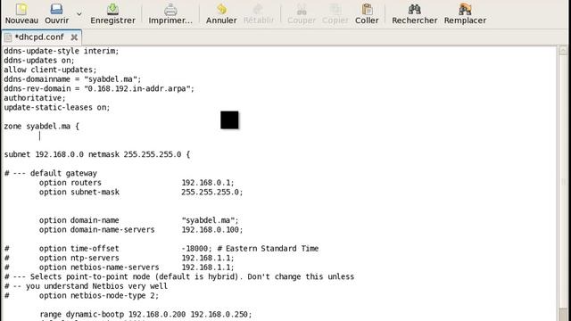 Tutorial 4 : Installation , configuration de Dynamic DNS - DDNS - sous LINUX ( FEDORA 8 ) смотреть онлайн