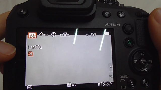 Panasonic Lumix DC-FZ82 (4K/30fps/100Mbit, 60X Optical Zoom, Touchscreen) смотреть онлайн