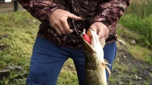 Рыбалка на щуку на спиннинг Favorite X1