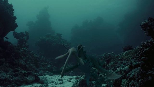 Кто такие Плезиозавры и Плиозавры (Plesiosaurus) смотреть онлайн