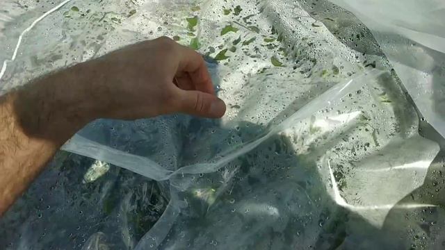 Вторая версия как сделать крышку, купол на уличный бассейн. смотреть онлайн